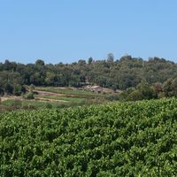 Photo de France - La randonnée du lac des Olivettes